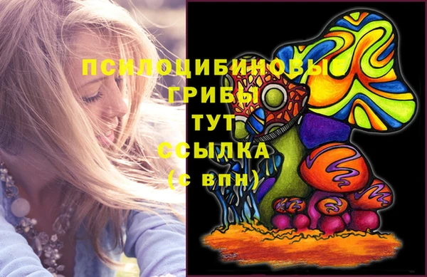 круглые Елизово